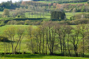 Plombier Rosny-sous-Bois